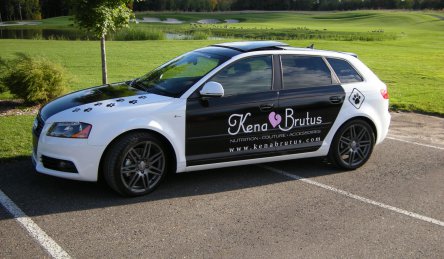 lettrage auto moyen kena brutus.jpg