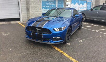 lettrage wrap mustant stripe.jpg