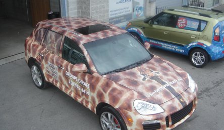 lettrage camion complet groupe girafe.jpg