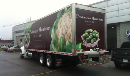 lettrage cube production maraichers.jpg