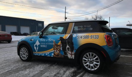 lettrage auto moyen belle et betes.jpg