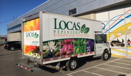 lettrage cube local pepiniere.jpg