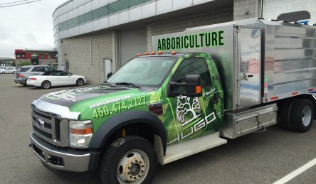 lettrage camion complet arbres hugo.jpg