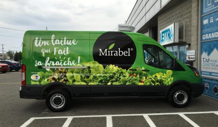lettrage camion complet salade mirabel.jpg